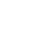1 DAY
