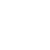 3 DAY